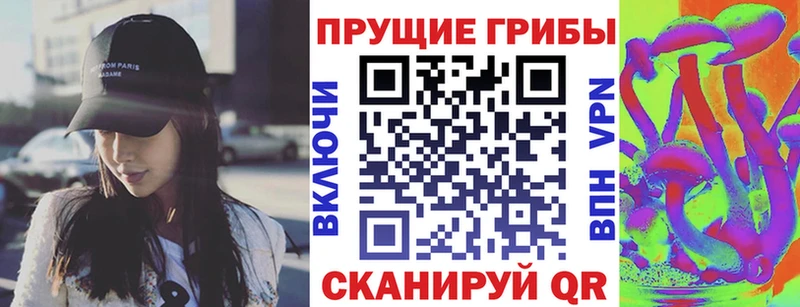 Галлюциногенные грибы Cubensis  где продают   Бирюсинск 
